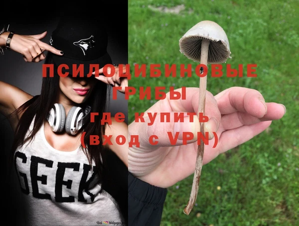 экстази Нязепетровск