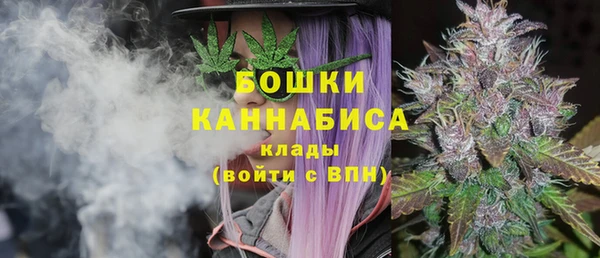 спайс Осинники