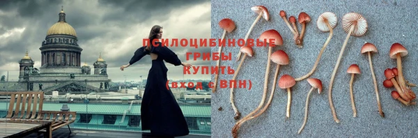 спайс Осинники