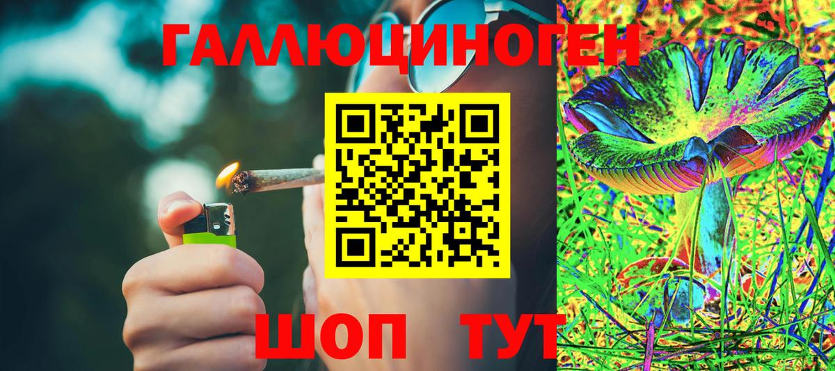Псилоцибиновые грибы GOLDEN TEACHER Южно-Сахалинск